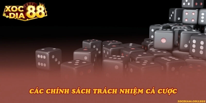 Các chính sách trách nhiệm cá cược