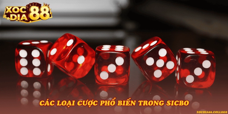 Các loại cược phổ biến trong Sicbo