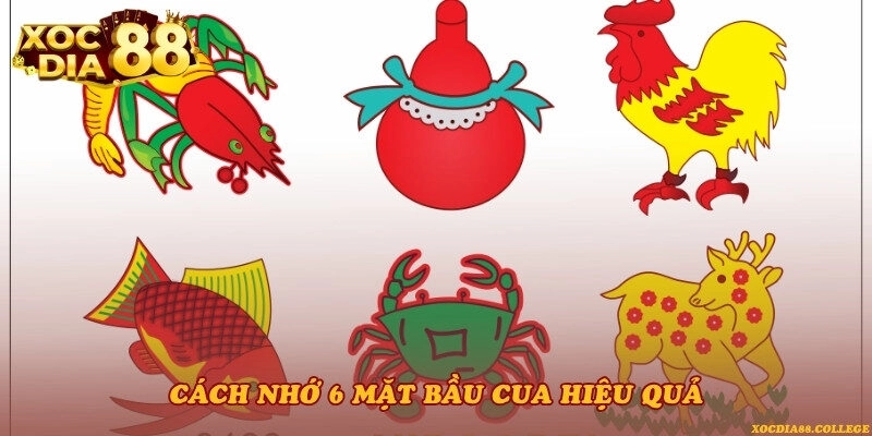 Cách nhớ 6 mặt Bầu Cua hiệu quả