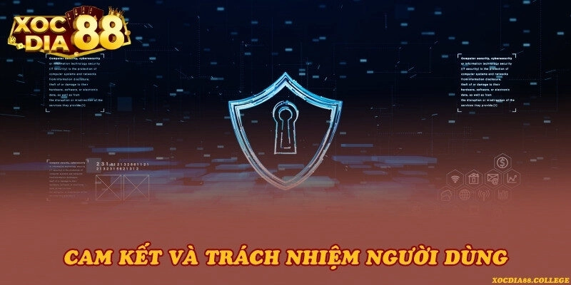 Cam kết và trách nhiệm người dùng