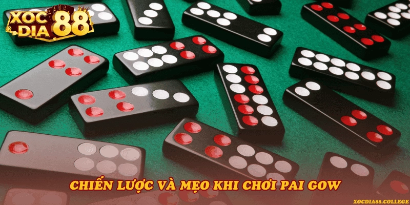 Chiến lược và mẹo khi chơi Pai Gow