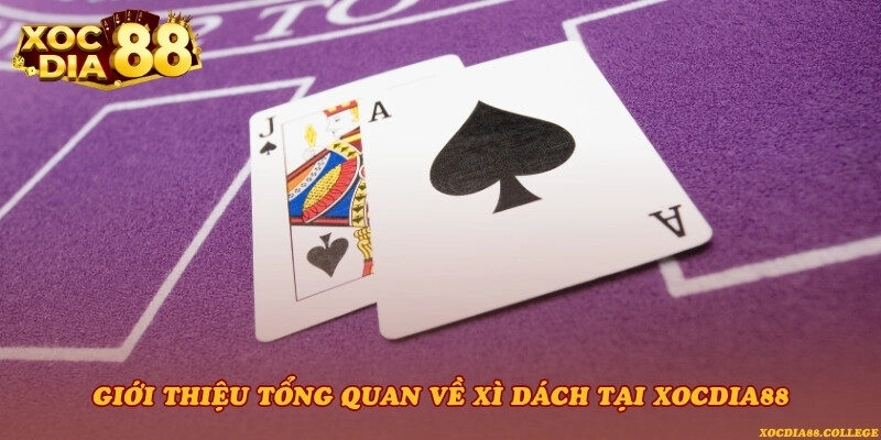Giới thiệu tổng quan về Xì dách tại Xocdia88