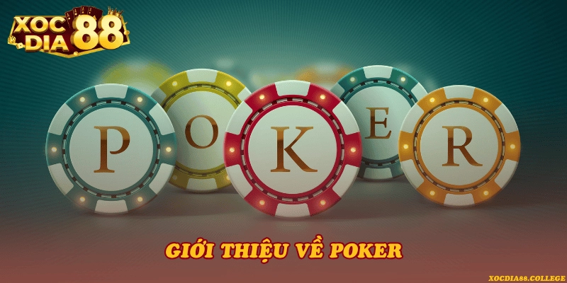 Giới thiệu về Poker