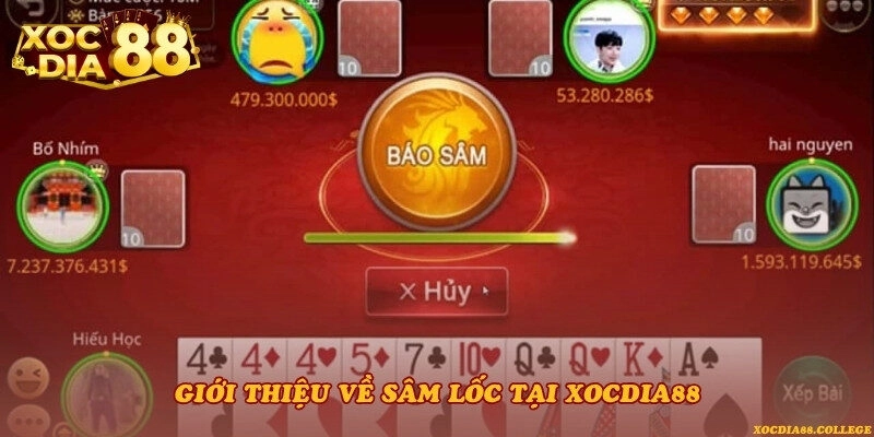 Giới thiệu về Sâm lốc tại Xocdia88
