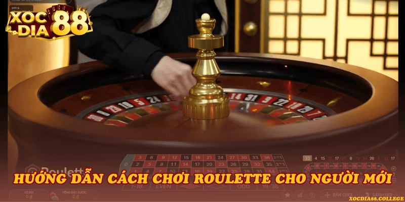 Hướng dẫn cách chơi Roulette cho người mới