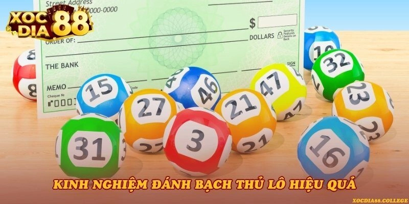 Kinh nghiệm đánh bạch thủ lô hiệu quả