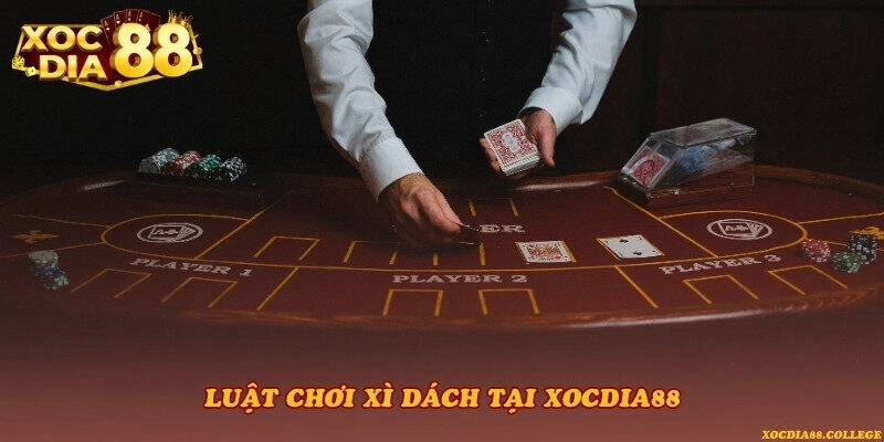 Luật chơi Xì dách tại Xocdia88