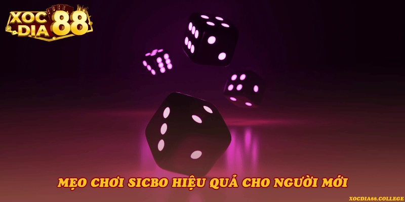 Mẹo chơi Sicbo hiệu quả cho người mới