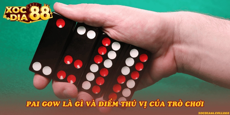 Pai Gow là gì và điểm thú vị của trò chơi