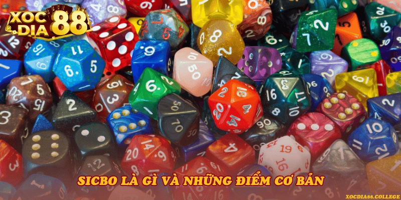 Sicbo là gì và những điểm cơ bản