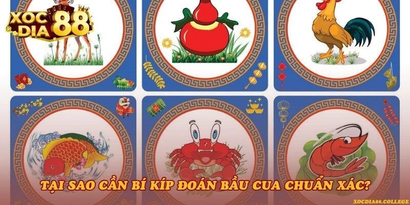 Tại sao cần bí kíp đoán Bầu Cua chuẩn xác?
