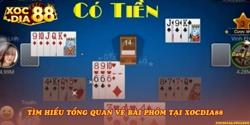 Tìm hiểu tổng quan về bài phỏm tại Xocdia88
