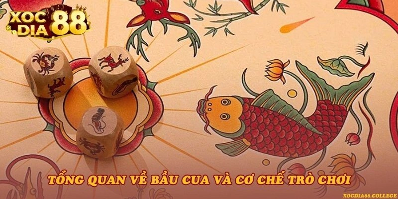 Tổng quan về Bầu Cua và cơ chế trò chơi
