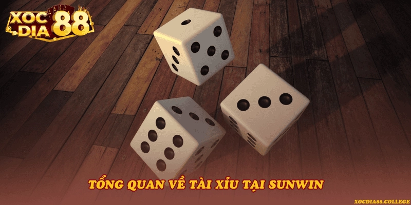 Tổng quan về Tài xỉu tại Sunwin