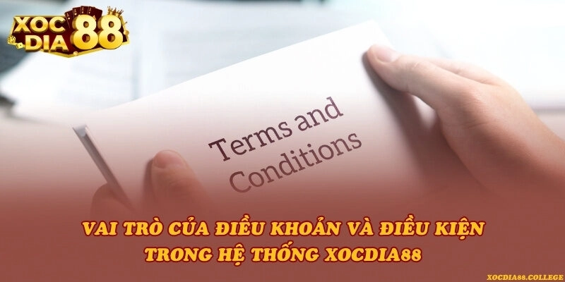 Vai trò của điều khoản và điều kiện trong hệ thống Xocdia88